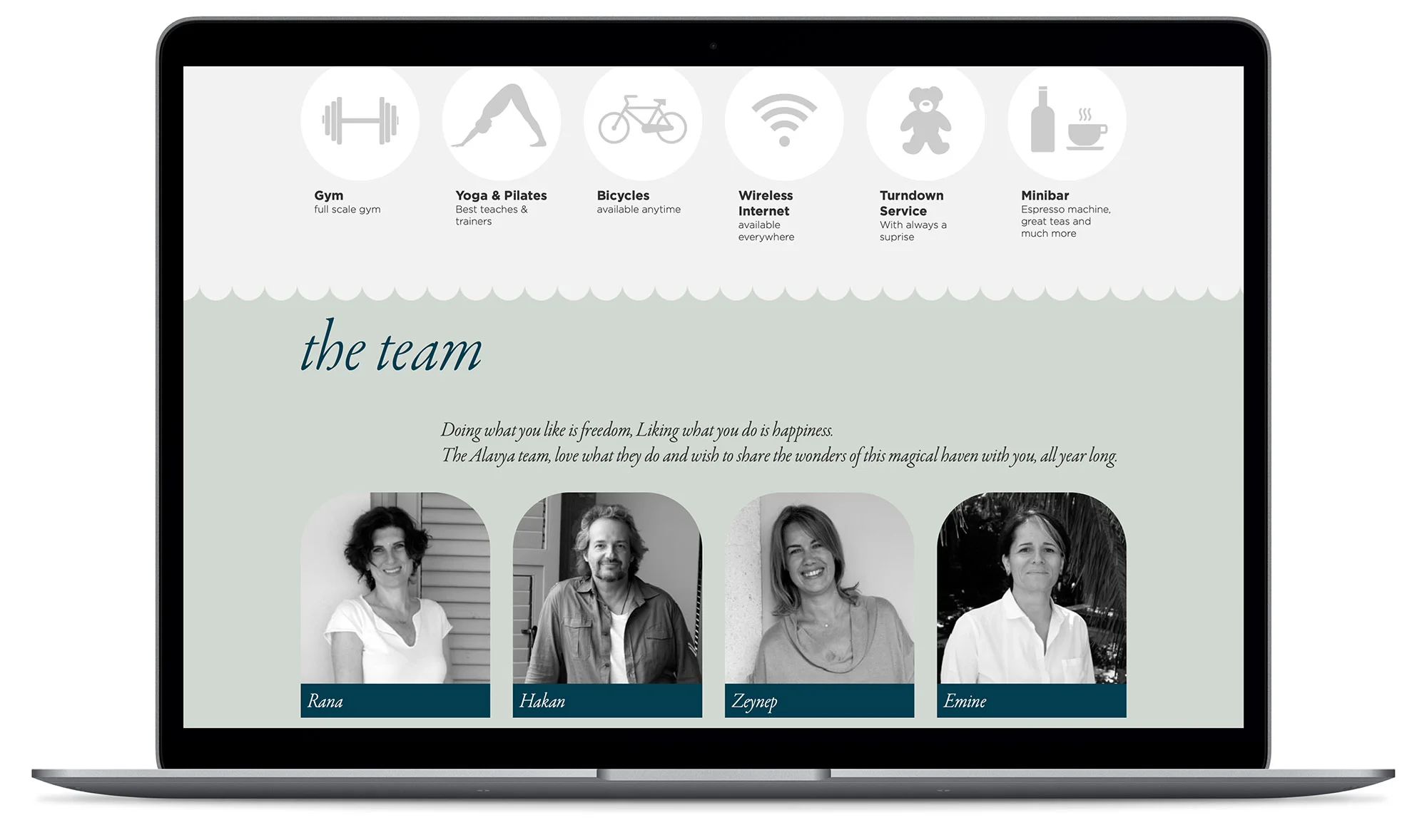 ALAVYA - Visual identity and design sample by Ediz Pinar